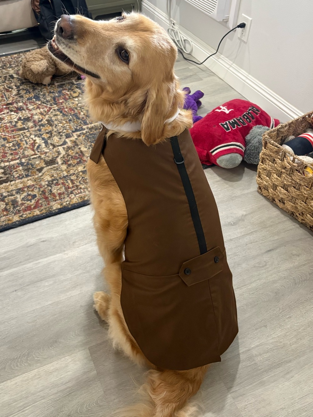 Brown Dog Coat Suit w/ Bib